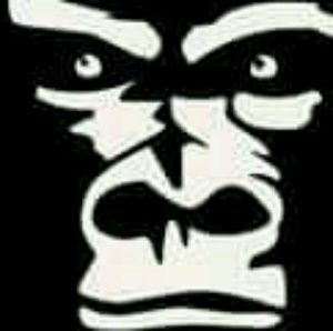 Meet your Posher, Ricardo